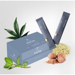 Vita Relax LavaVitae